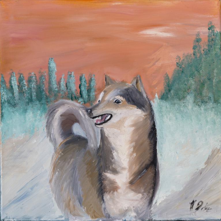 Un hiver de chien - Janvier 2017