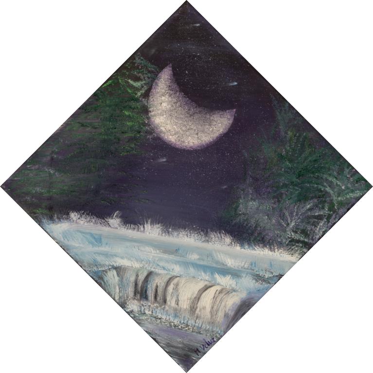 La nuit des étoiles - Avril 2017