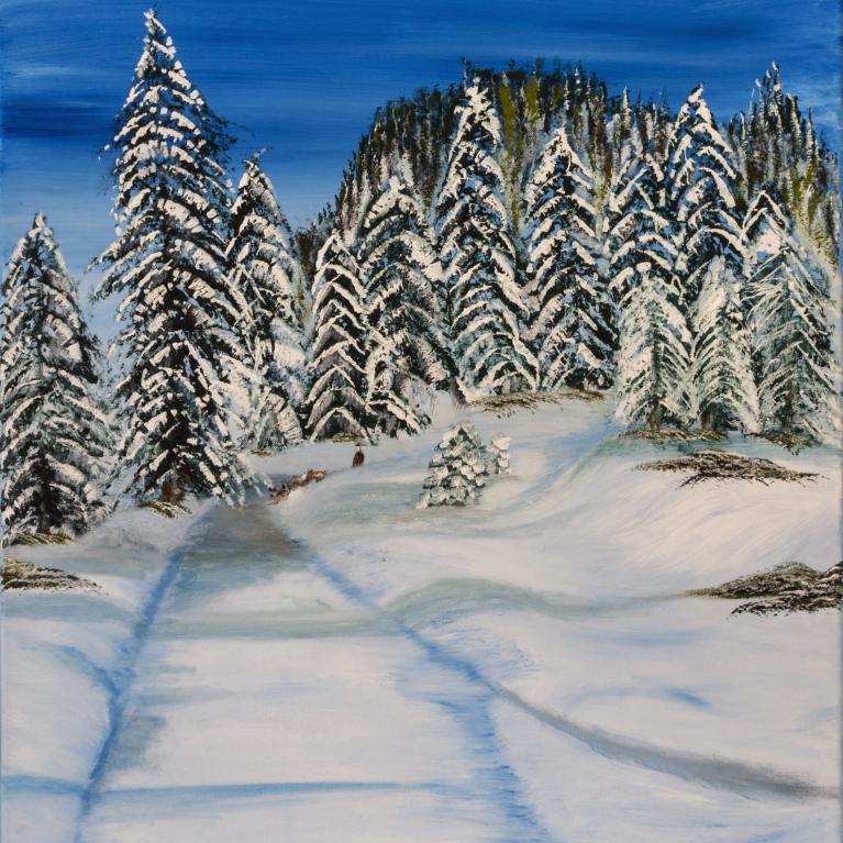 L'hiver à St-Cergue - Février 2018